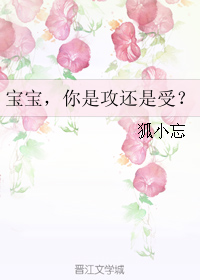 宝宝,你是攻还是受？