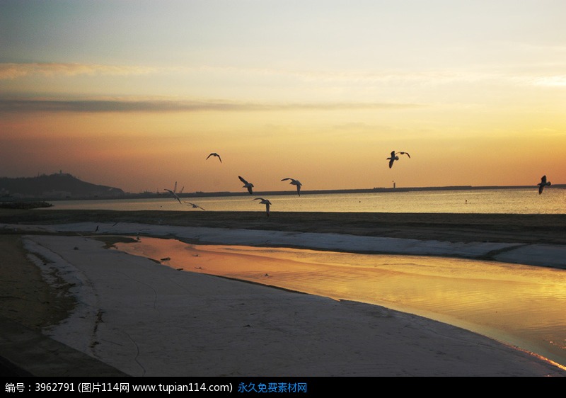 北风吹不过你掌心的海