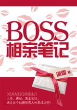 boss相关电视剧