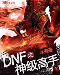 dnf之神级高手