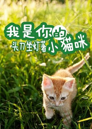 我是你的小猫咪